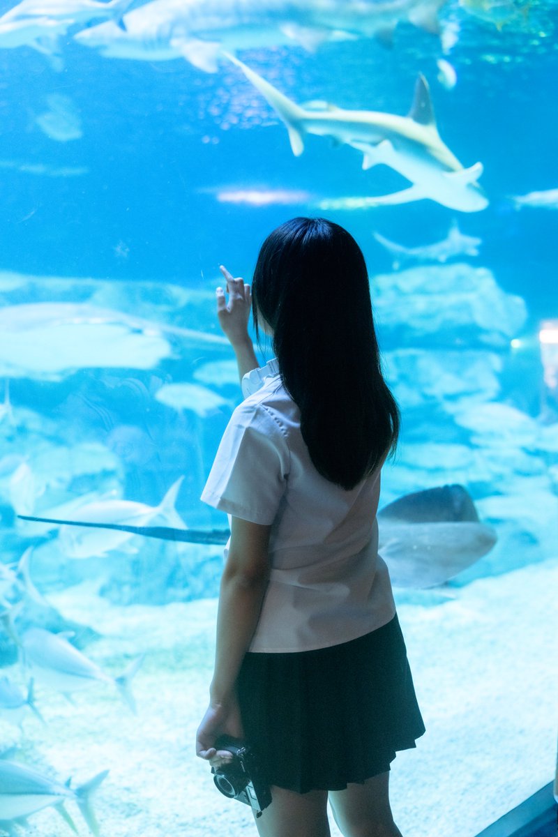 ❌水族館好き(❁ᴗ͈ˬᴗ͈)水族館の生き物 水族館🫧🪼