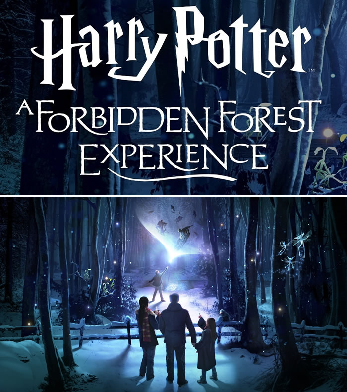 OnlyBrisbane's tweet photo. Harry Potter: A Forbidden Forest Experience invites you to walk into the depths of a dark forest and discover fantastic beasts and iconic wizarding world moments illuminated like never before. 

https://t.co/SV8B3Ws3jz https://t.co/O1kyt7pLsd