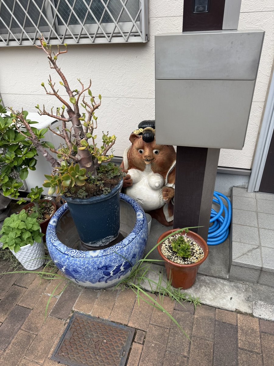 deeeebag's tweet photo. well hello. a tanuki specifically for me https://t.co/1XIyVrPqt3