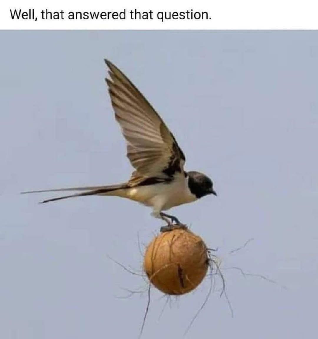 Classic Guitar Rock 🎙 tweet media