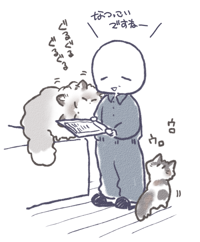 ガス点検の人にフルタイム鬼絡みしたぼくたち🐱🐱 