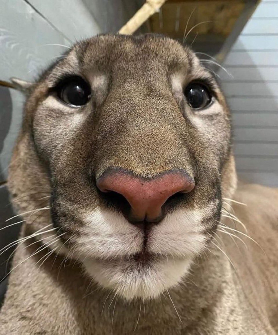 Can someone send me 100000$ for no particular reason ?