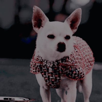 Chloe (@cutexprincesa) on Twitter photo #NewProfilePic #NewProfilePic