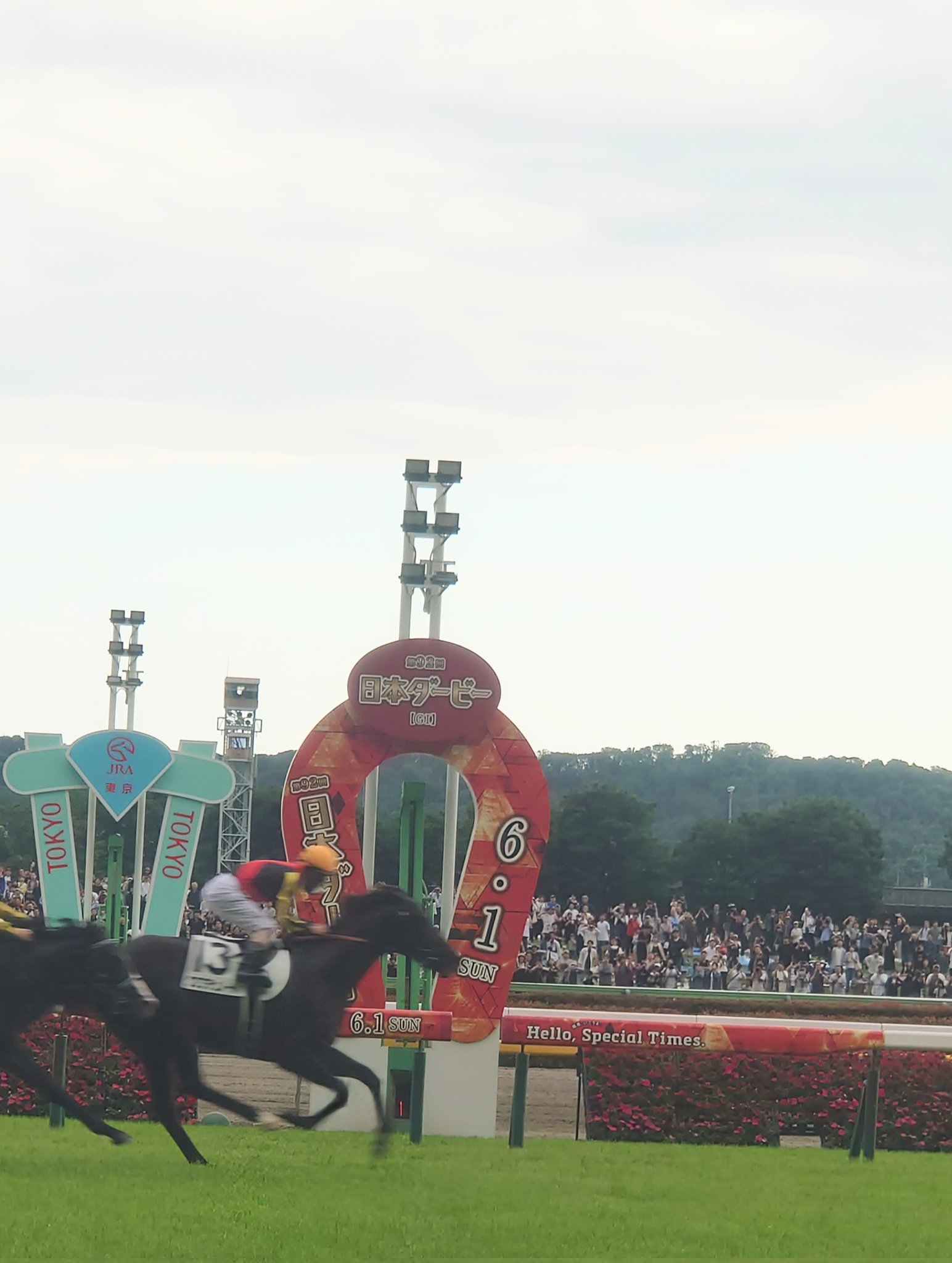 日本ダービー🏇 - Search / X