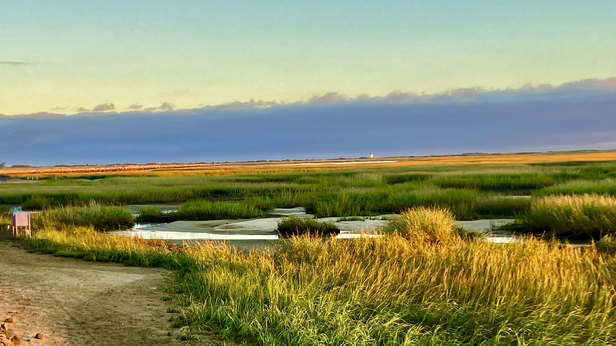 LaddCindyladd's tweet photo. Beautiful evening in Provincetown ☀️ https://t.co/TOJG3XlSUl