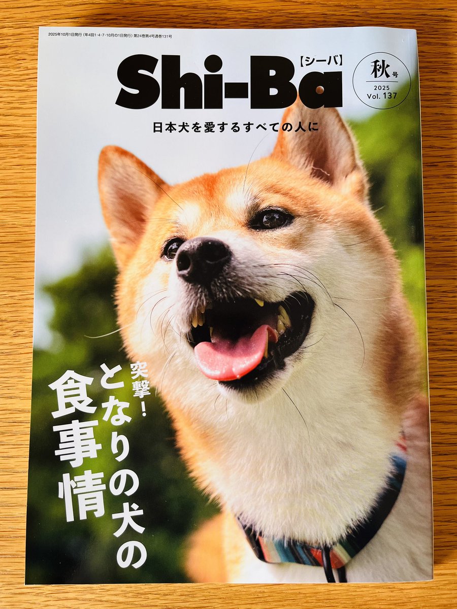 【しばいぬページ】 Amazon.co.jp: バインダーノート 柴犬 しばいぬ 可愛い 犬柄