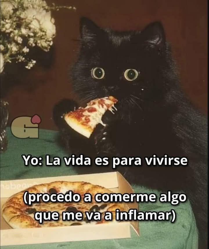 La vida es un riesgo!

#reiLetelier 😂😂😂

Buen finde, mes amis!