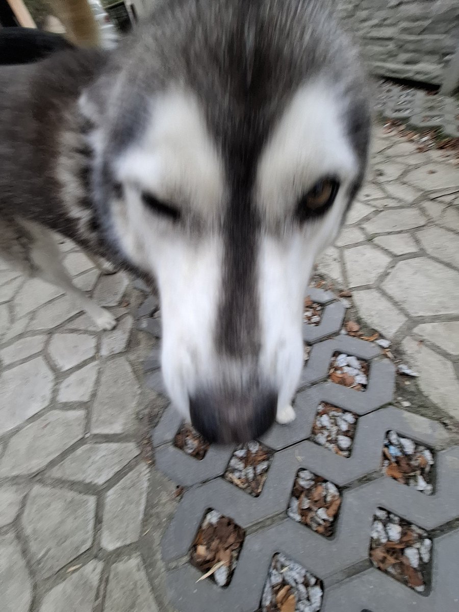 Nie da sie spaaac aaaaaaaaaaa