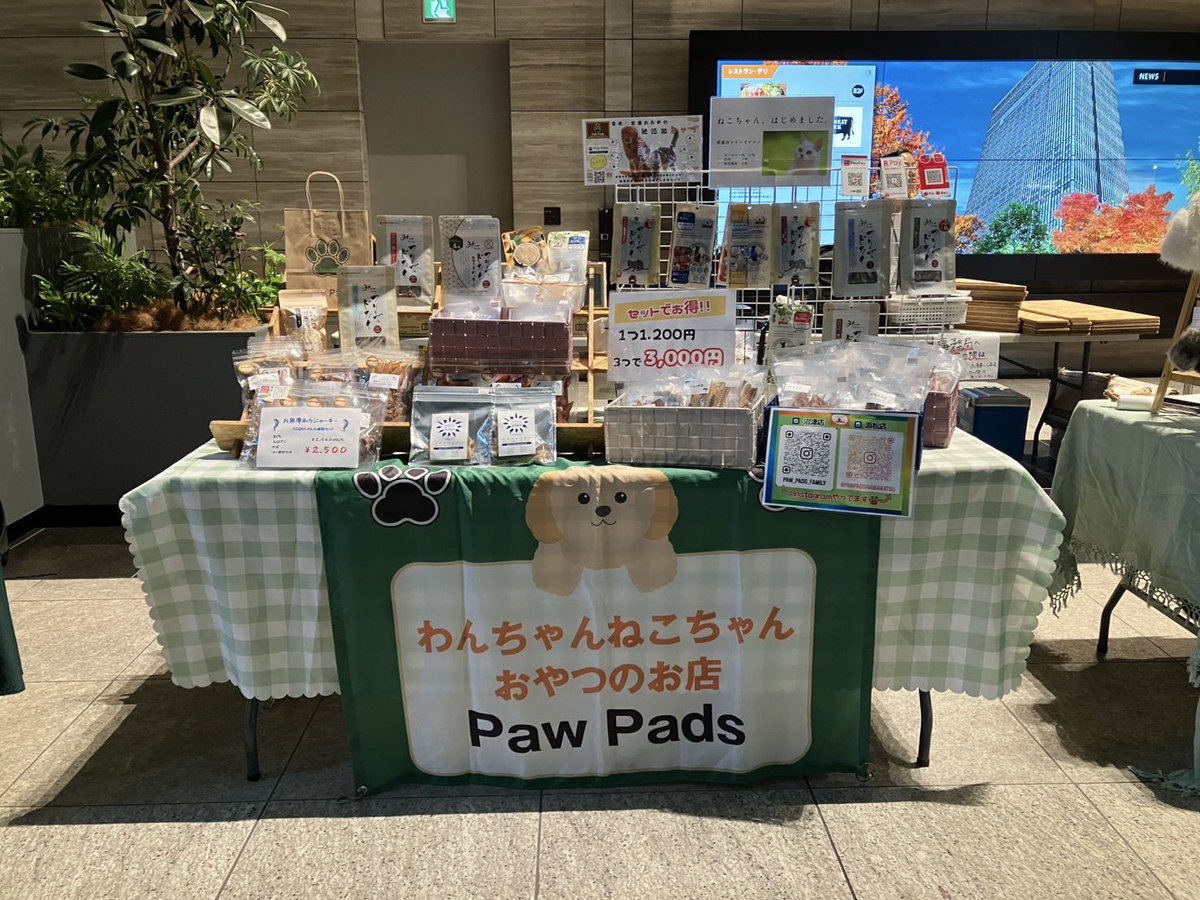 FamilyPads32820's tweet image. 2025年9月20日、本日の出店情報です！
🎪アンドドッグマルシェin吉岡(群馬県)
🎪旅の駅(山梨県)
🎪大手町森のマルシェ(東京都)
皆様のご来場お待ちしております✨✨

#出店情報 #pawpads #愛犬とお出かけ