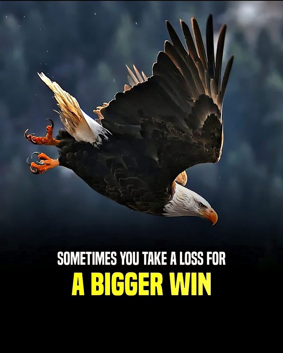 cloud1a7's tweet image. Goodnight X fam. Much love sleep well. 😴