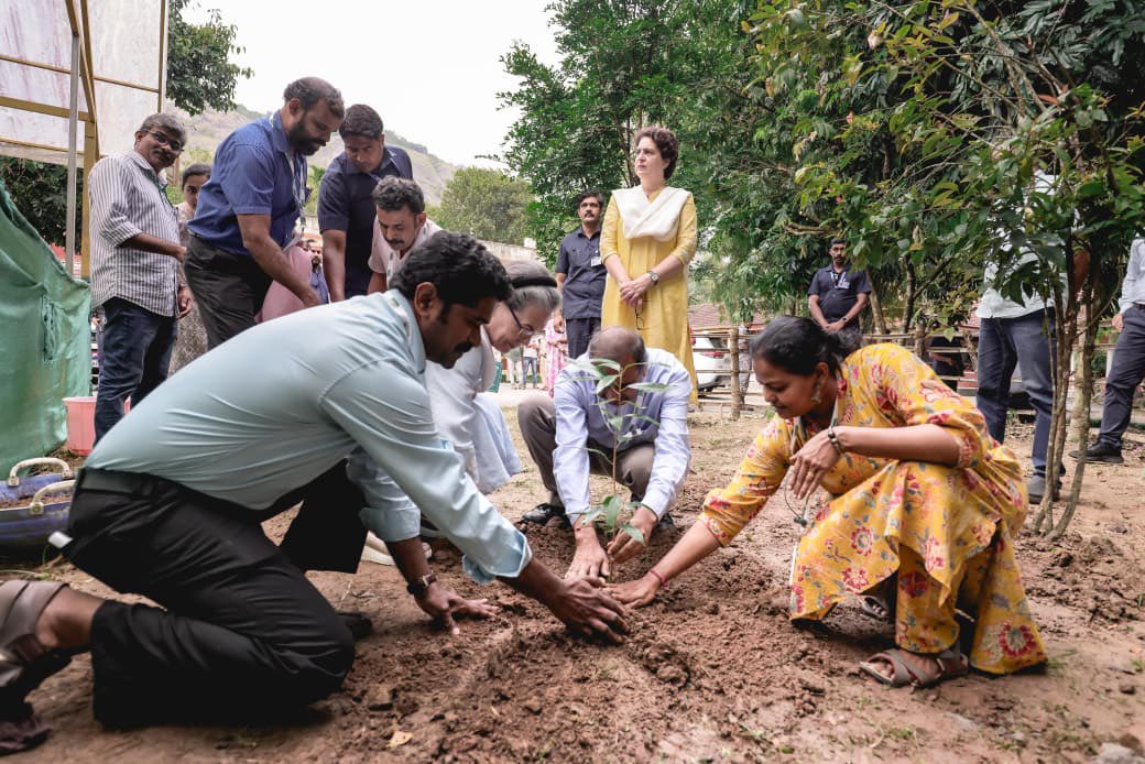 Jibin Thomas tweet media