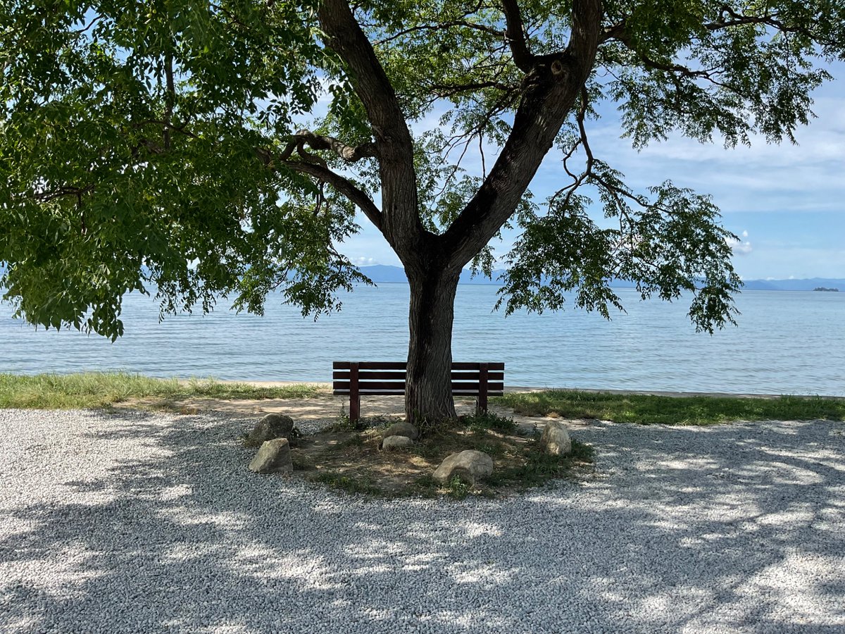 もるだ tweet media