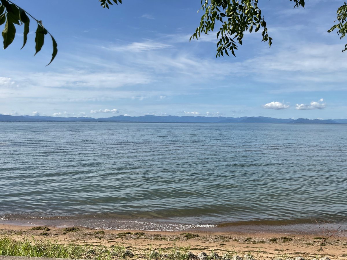 もるだ tweet media