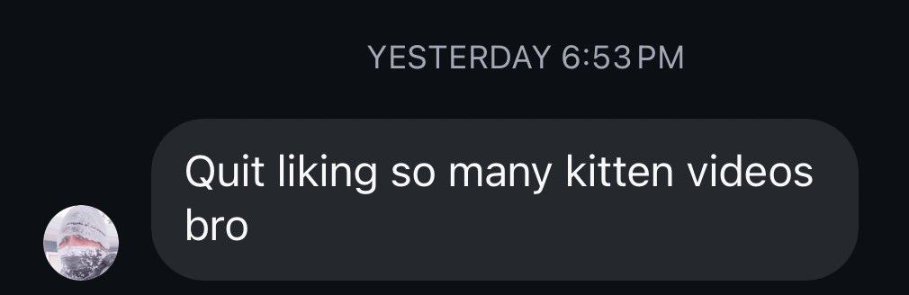 i will never stop liking kitten videos