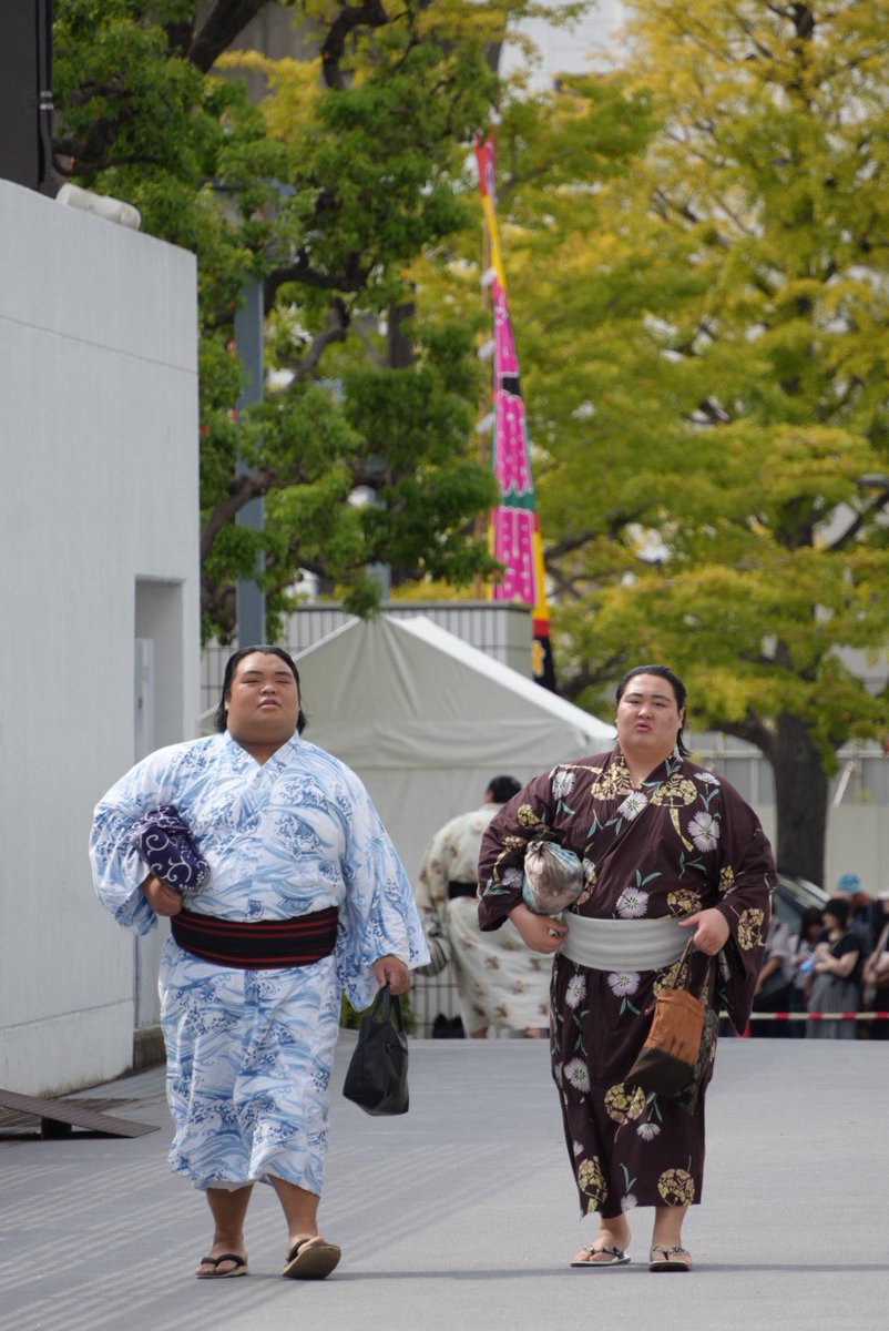 べりべり応援しておりますの❗️