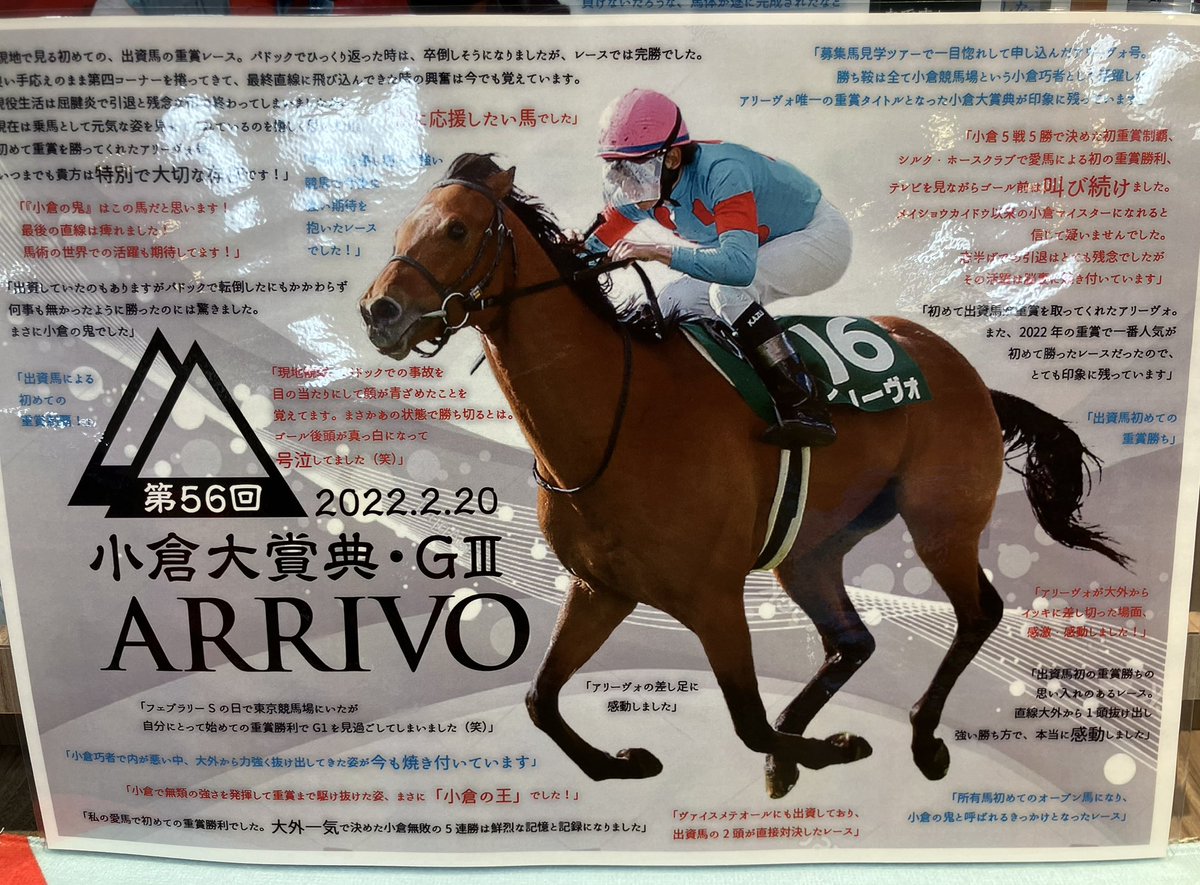 競馬　一口馬主出資パネル オーナーライフをもっと楽しく快適に！ 馬主・一口馬主向け