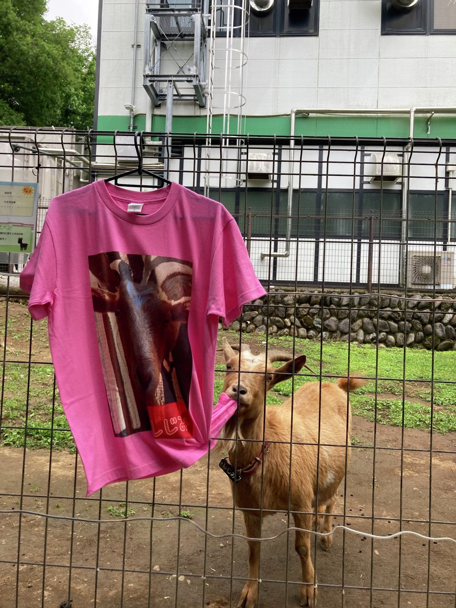 太陽ホールディングス株式会社 on X