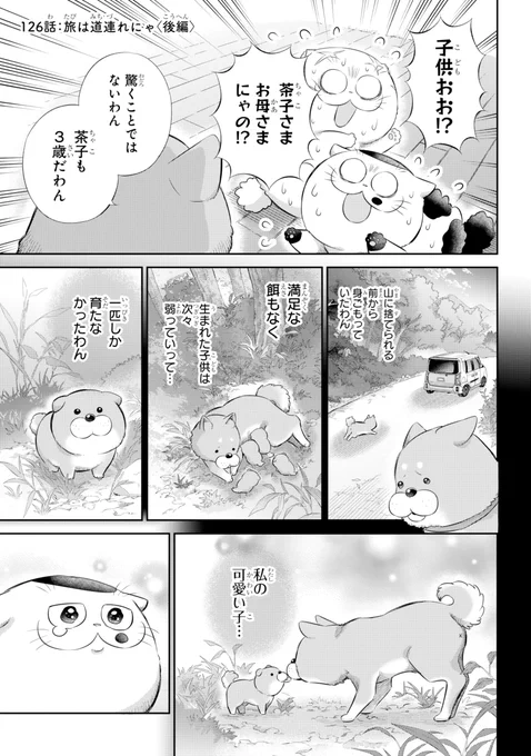 【おじさまと猫 126話(後編)】 
旅は道連れにゃ

本編の126話(後編)が更新しました!

続きはこちらです↓ 
https://t.co/J9HEbHoQ62 
#おじさまと猫 