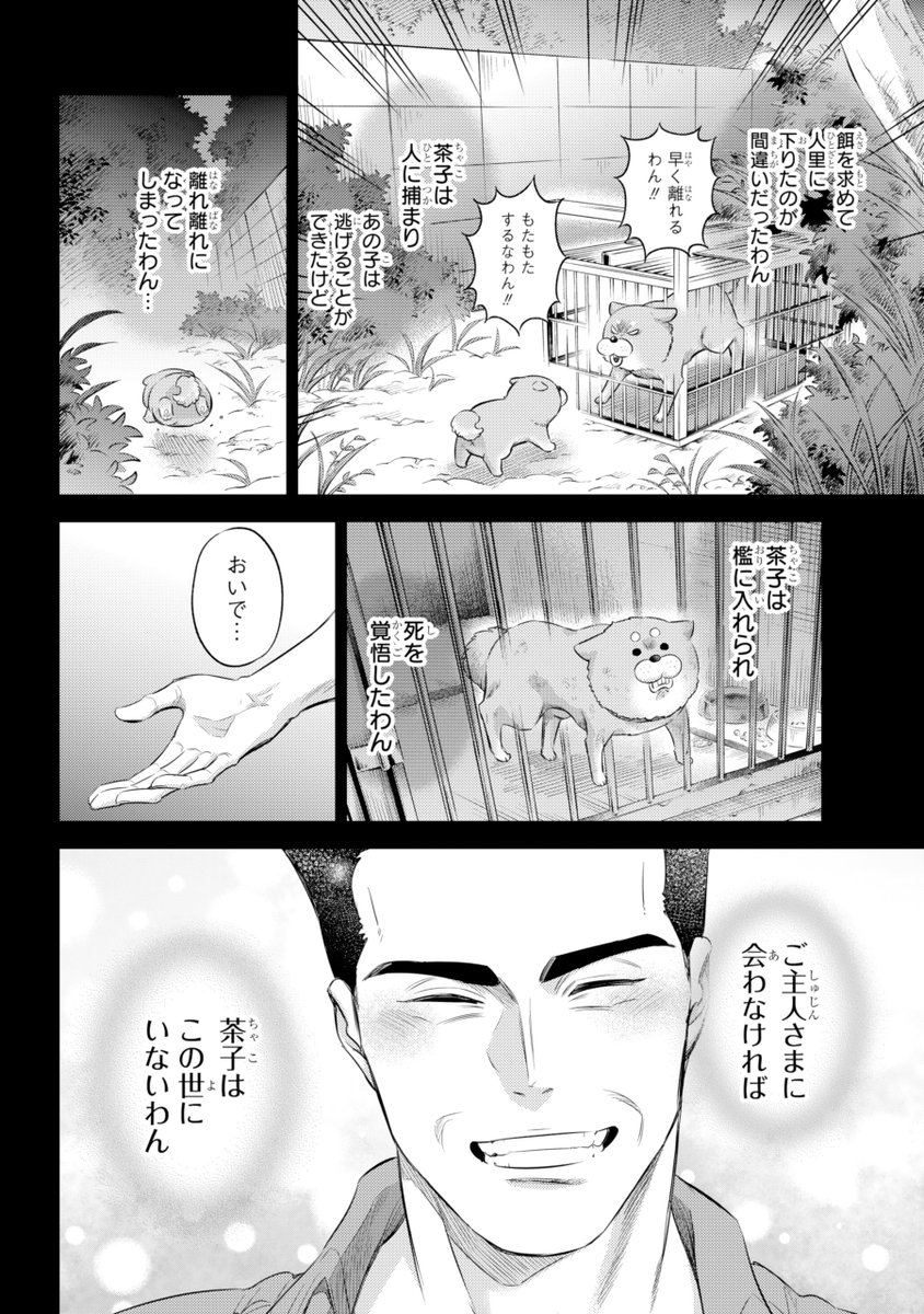 桜井海＠おじ猫16巻発売中！ tweet media