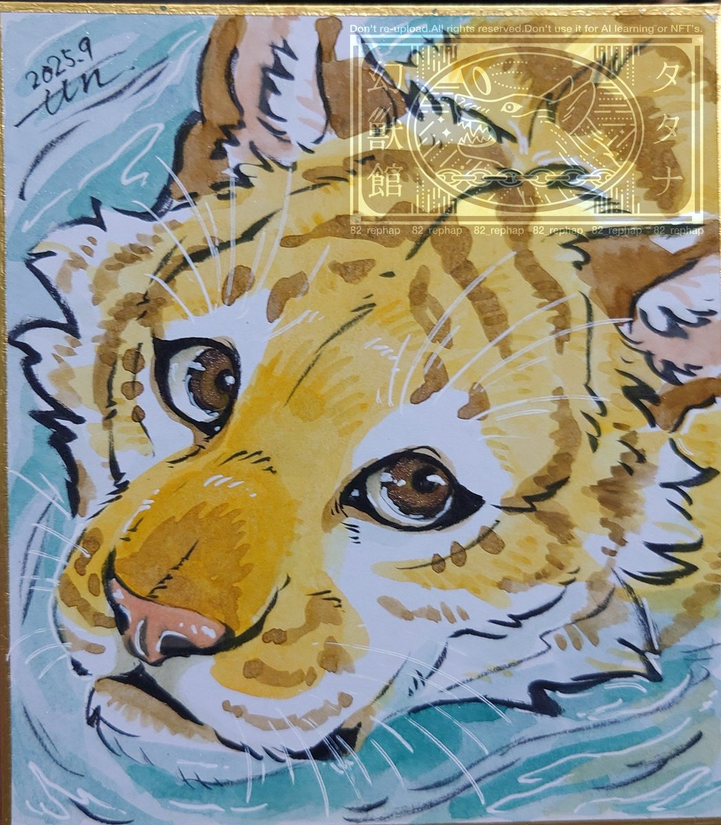 82_rephap's tweet image. 虎ちゃん色紙