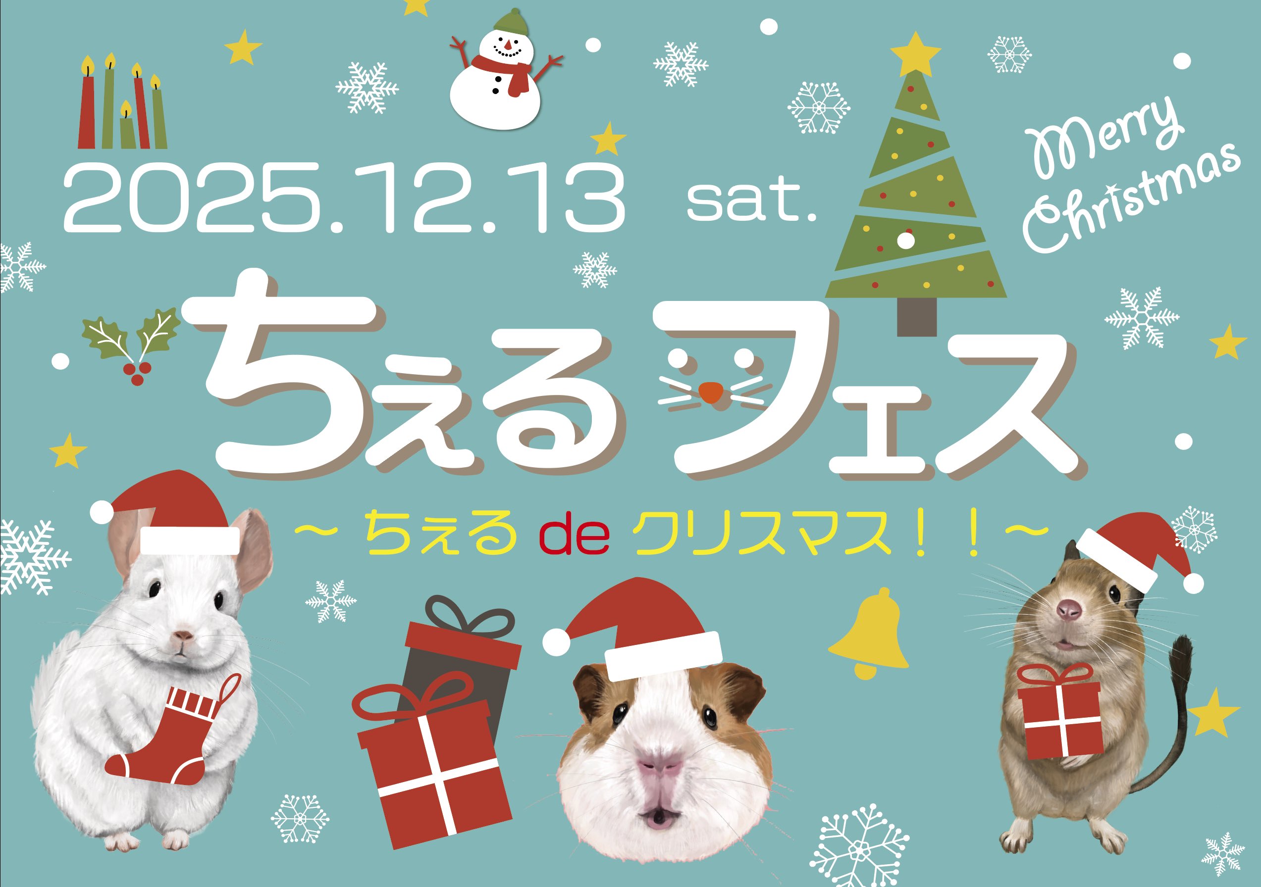 チョモランマ様 リクエスト 3点 まとめ商品 Sugar Glider ZIP Pouch シュガーグライダー ジップ ポーチ 本日