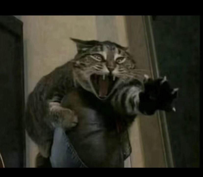 STOP STOPPPP STOPPPPPP S T O PPPPPPPPPPPPPPP ST O -