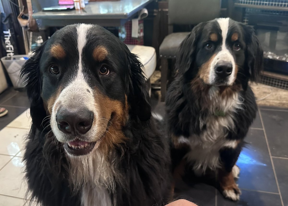 MikeChritton's tweet image. We see you are eating ice cream.  We also like ice cream.