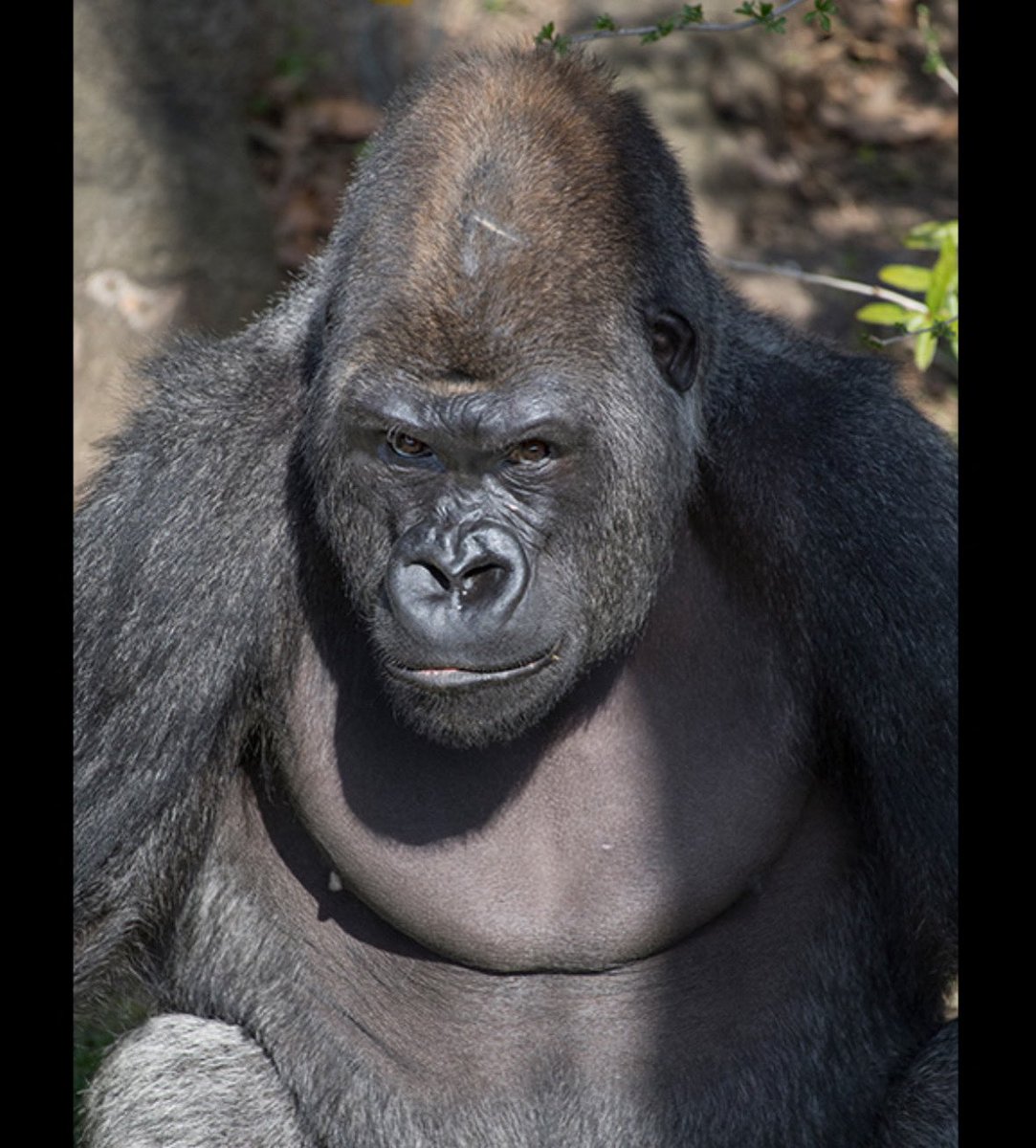 Labette Barstool tweet media