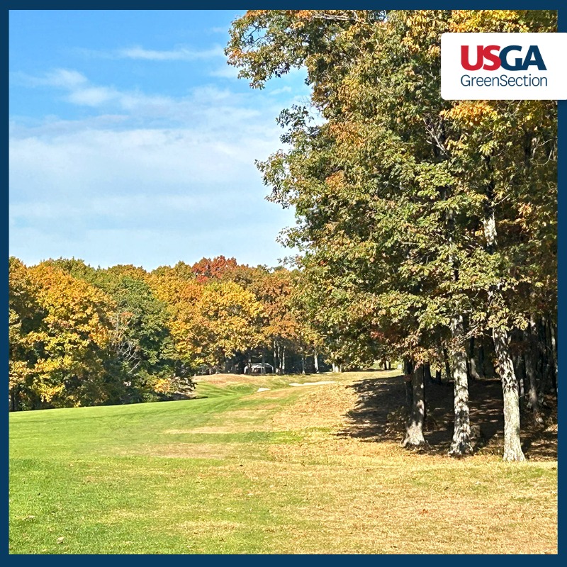 USGAGrnSection's tweet photo. A tough weather year usually highlights where trees make it hard to maintain healthy turf. Evaluate the issues now and build support for addressing them 👇