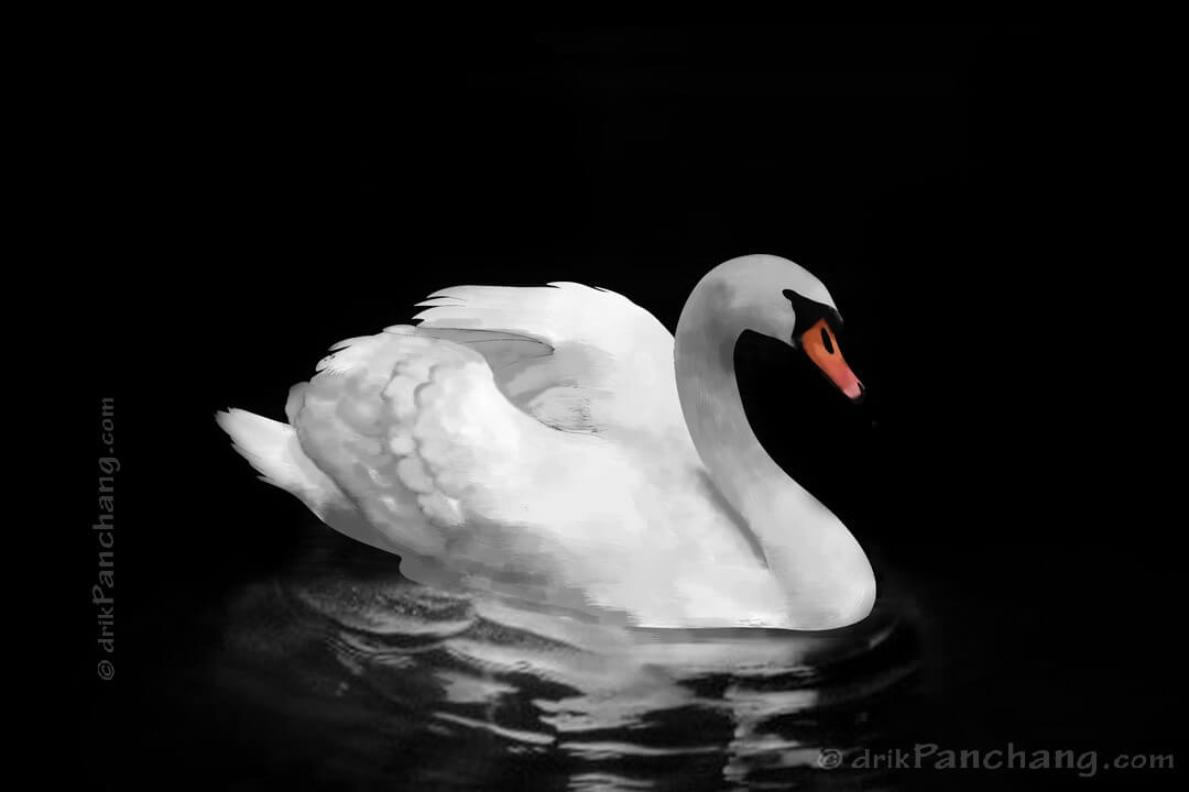 drikpanchang's tweet image. 21st September (Sunday) - Amavasya Shraddha
Amavasya Tithi Begins - 12:16 AM on Sep 21, 2025 (for New Delhi)
Amavasya Tithi Ends - 01:23 AM on Sep 22, 2025
To check timings for your city please visit
drikpanchang.com/shraddha/tithi…
#AmavasyaShraddha #AmavasShraddha #PitruPaksha