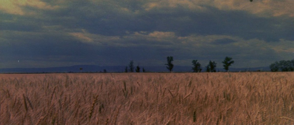 kevinthefilmguy's tweet image. Thunderbolt and Lightfoot dir. Michael Cimino