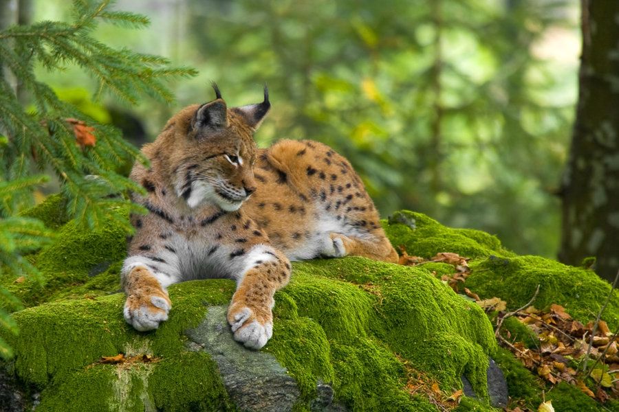 <a href="/Mari__Samsonova/">Мария Самсонова 💕</a> <a href="/_Nata_Sokol/">Наталья Соколова </a> <a href="/_Mila_Romanova/">Мила Романова 🔙</a> <a href="/_VitaKnyazeva/">Виталия Князева</a> <a href="/Lara_Smurova/">Лариса Смурова 🚀</a> <a href="/Alisiya_Pankova/">Алисия Панкова 💥«</a> <a href="/Dana__Levina/">💞 Дана Левина 💞</a> <a href="/_NikaSmirnova/">Ника Смирнова 🦋</a> <a href="/_PolinaSavina/">Полина Савина 🧢</a> <a href="/_TatyanaGolub/">Татьяна Голубева 🔥«</a> <a href="/Evelina__Lapina/">Эвелина Лапина</a> <a href="/Mishel_Lebedeva/">Мишель Лебедева</a> <a href="/BogSuvorova/">Богдана Суворова</a> <a href="/Karina__Zimina/">Карина Зимина 🦋</a> <a href="/Dominik_Svetova/">Доминика Светова</a> <a href="/Yuliya_Verina/">Юлия Верина 🍁</a> <a href="/_Anna_Gordeeva/">Анна Гордеева</a> <a href="/Frolova__Nastya/">Анастасия Фролова ✨</a> <a href="/Val_Valereva/">Валентина Валерьева</a> <a href="/Evgen_Safina/">Евгения Сафина</a> <a href="/Liza_Vesnina/">Лизавета Веснина</a> <a href="/Sveta_Makeina/">Светлана Макеина</a> <a href="/Kseniya_Aksen/">Ксения Аксенова</a> <a href="/_OksanaFirsova/">Оксана Фирсова</a> <a href="/Roza_Rakitina/">Роза Ракитина</a> <a href="/IrishaKoroleva/">Ирина Королева</a> <a href="/_VladaBelova/">Влада Белова</a> <a href="/ya__chara/">Яна</a> <a href="/alberiniks/">Нина Альбертова</a> <a href="/lady__travel/">Нинэлька</a> <a href="/Ansupers/">Анастасия</a> <a href="/Alisa550055/">Алиса</a> <a href="/glamour__fifa/">Нэнси</a> <a href="/santairis_/">Ириска</a> <a href="/polovinkamoya/">Валентина</a> <a href="/niguzan/">Нина</a> <a href="/moyi_angel/">Ангелина</a> <a href="/ledi__briz/">Алина Голубкова</a> <a href="/Irina__Grad/">Ирина Градова</a> <a href="/shelkalina/">Galina Shelest</a> <a href="/leopoldolarag/">Leopoldo Lara</a> <a href="/P_barbaricina/">Patricia ♦️®🇮🇹</a> <a href="/VictoriAGVelan1/">Victoria Guerrero Velandia</a> <a href="/alpost19718/">Istina</a> <a href="/Anatolii70/">.Анатолий70</a> <a href="/Igor55549244/">Igor</a> <a href="/Vladimi94915948/">Vladimir</a> <a href="/math_007tutor/">Цифровой репетитор по математике физике английский</a> <a href="/olv42/">Анна Ильиных</a> <a href="/iO0WDvcSpnyOba5/">Люба</a>