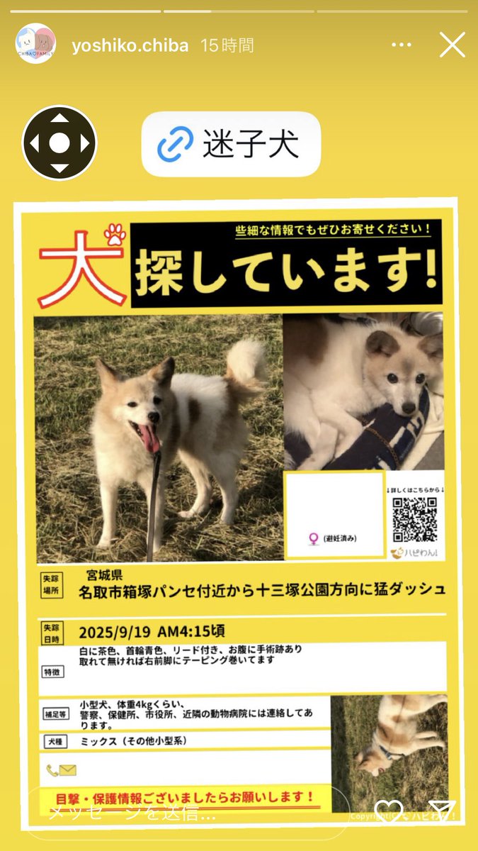 #迷子犬
#保護犬
#名取市箱塚
#パンセ名取店付近
#十三塚公園付近
#情報提供お願い致します
#拡散希望