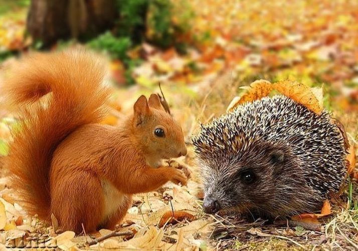 <a href="/Mari__Samsonova/">Мария Самсонова 💕</a> <a href="/_Nata_Sokol/">Наталья Соколова </a> <a href="/_Mila_Romanova/">Мила Романова 🔙</a> <a href="/_VitaKnyazeva/">Виталия Князева</a> <a href="/Lara_Smurova/">Лариса Смурова 🚀</a> <a href="/Alisiya_Pankova/">Алисия Панкова 💥«</a> <a href="/Dana__Levina/">💞 Дана Левина 💞</a> <a href="/_NikaSmirnova/">Ника Смирнова 🦋</a> <a href="/_PolinaSavina/">Полина Савина 🧢</a> <a href="/_TatyanaGolub/">Татьяна Голубева 🔥«</a> <a href="/Evelina__Lapina/">Эвелина Лапина</a> <a href="/Mishel_Lebedeva/">Мишель Лебедева</a> <a href="/BogSuvorova/">Богдана Суворова</a> <a href="/Karina__Zimina/">Карина Зимина 🦋</a> <a href="/Dominik_Svetova/">Доминика Светова</a> <a href="/Yuliya_Verina/">Юлия Верина 🍁</a> <a href="/_Anna_Gordeeva/">Анна Гордеева</a> <a href="/Frolova__Nastya/">Анастасия Фролова ✨</a> <a href="/Val_Valereva/">Валентина Валерьева</a> <a href="/Evgen_Safina/">Евгения Сафина</a> <a href="/Liza_Vesnina/">Лизавета Веснина</a> <a href="/Sveta_Makeina/">Светлана Макеина</a> <a href="/Kseniya_Aksen/">Ксения Аксенова</a> <a href="/_OksanaFirsova/">Оксана Фирсова</a> <a href="/Roza_Rakitina/">Роза Ракитина</a> <a href="/IrishaKoroleva/">Ирина Королева</a> <a href="/_VladaBelova/">Влада Белова</a> <a href="/ya__chara/">Яна</a> <a href="/alberiniks/">Нина Альбертова</a> <a href="/lady__travel/">Нинэлька</a> <a href="/Ansupers/">Анастасия</a> <a href="/Alisa550055/">Алиса</a> <a href="/glamour__fifa/">Нэнси</a> <a href="/santairis_/">Ириска</a> <a href="/polovinkamoya/">Валентина</a> <a href="/niguzan/">Нина</a> <a href="/moyi_angel/">Ангелина</a> <a href="/ledi__briz/">Алина Голубкова</a> <a href="/Irina__Grad/">Ирина Градова</a> <a href="/shelkalina/">Galina Shelest</a> <a href="/leopoldolarag/">Leopoldo Lara</a> <a href="/P_barbaricina/">Patricia ♦️®🇮🇹</a> <a href="/VictoriAGVelan1/">Victoria Guerrero Velandia</a> <a href="/alpost19718/">Istina</a> <a href="/Anatolii70/">.Анатолий70</a> <a href="/Igor55549244/">Igor</a> <a href="/Vladimi94915948/">Vladimir</a> <a href="/math_007tutor/">Цифровой репетитор по математике физике английский</a> <a href="/olv42/">Анна Ильиных</a> <a href="/iO0WDvcSpnyOba5/">Люба</a>