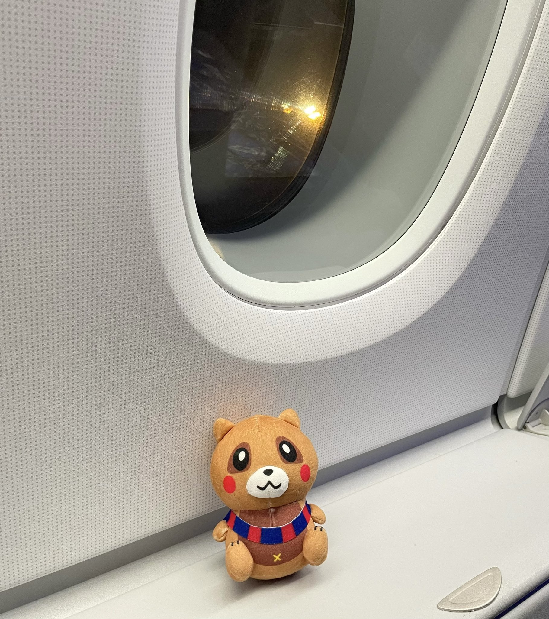 新品非売品　慶應義塾大学　みたぬき　ぬいぐるみ Amazon.co.jp: 慶応義塾大学 三田祭 みたぬき ぬいぐるみ : おもちゃ