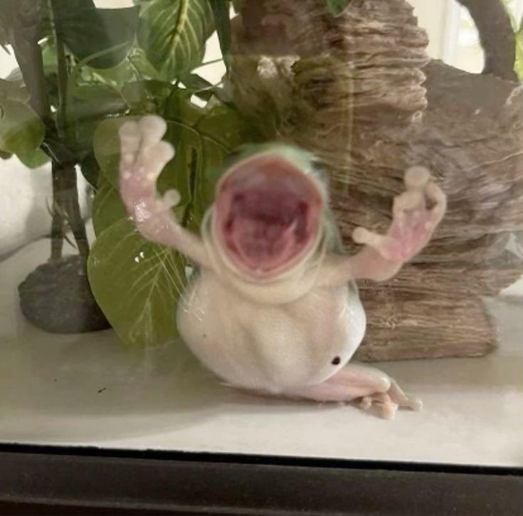 FollowerLE 🔞 tweet media