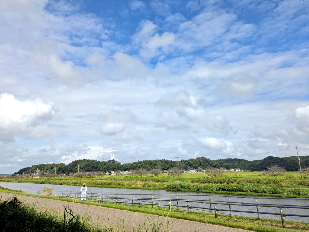 うちの山下清すぐどっか行っちゃう🍙