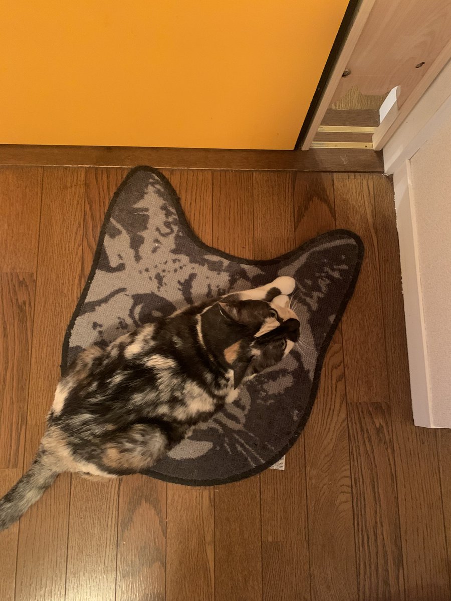 千研究所 (ちーラボ) tweet media