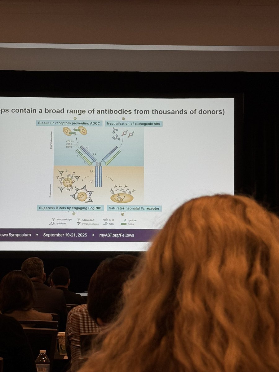 Mahmoud Musa tweet media