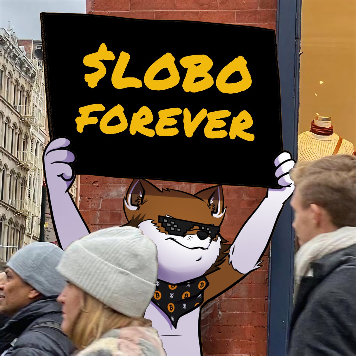 Bitcoin memecoins are forever!
$LOBO is forever!
The wolf pack is forever!
Once a Wolf, always a Wolf!