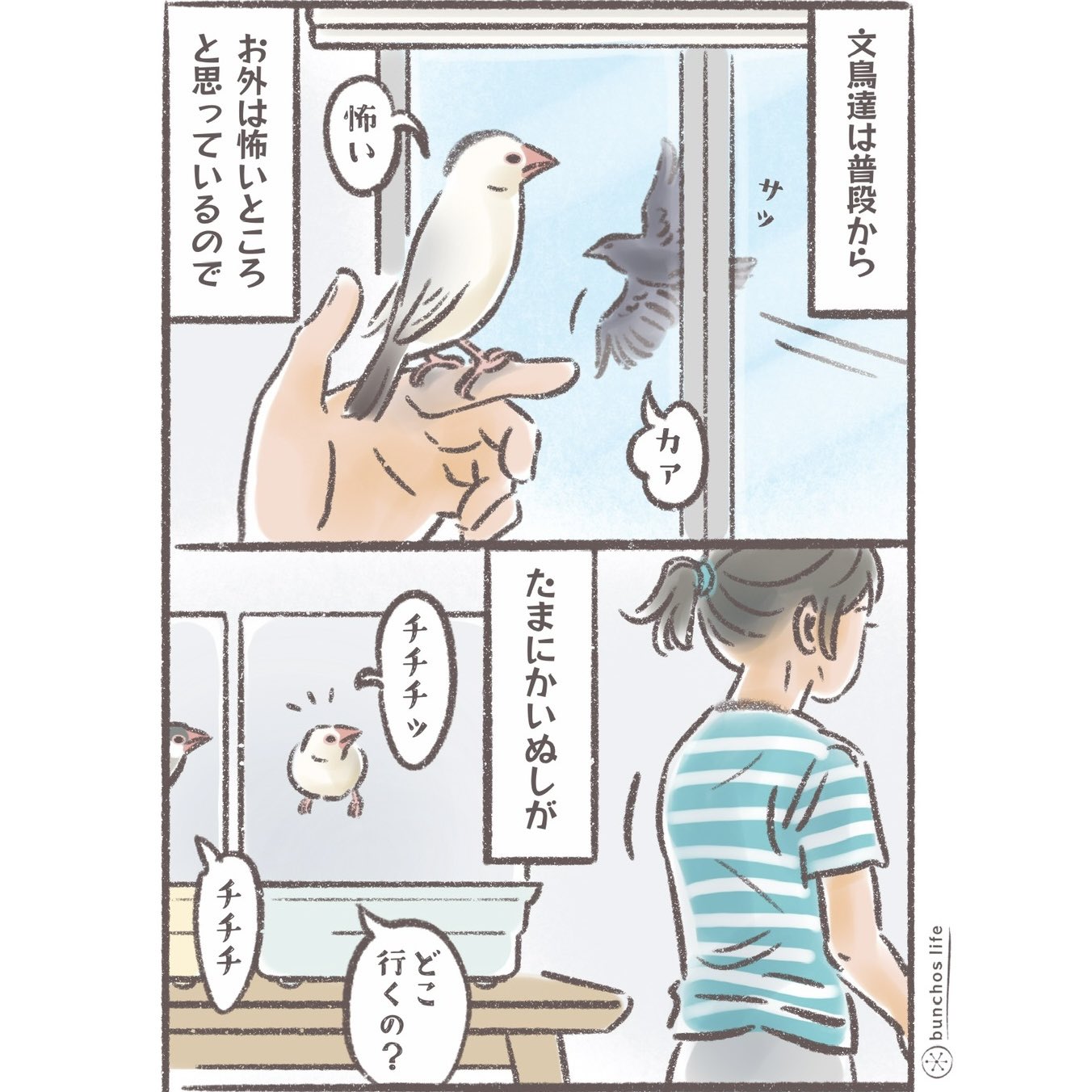 こむぎ🕊️ (@komugi_chan55) / X