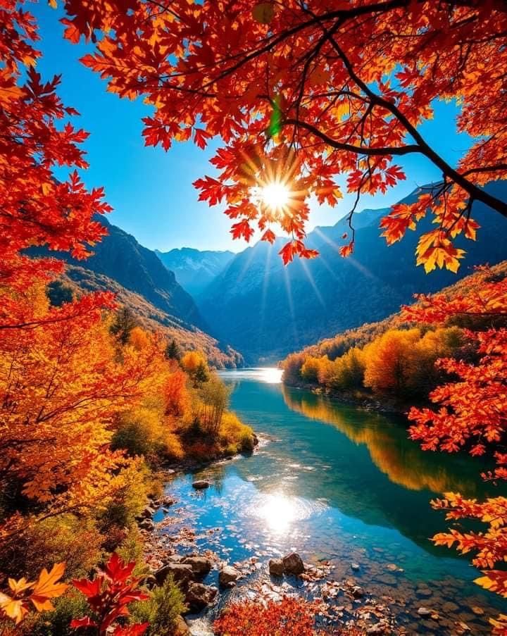 raducu_nicoleta's tweet image. 🍁☀️🍁Good morning 🍁☀️🍁