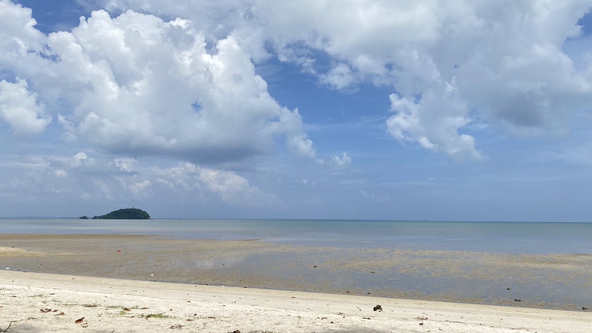 sunfleurst's tweet image. Iship with nature🍃🌤️