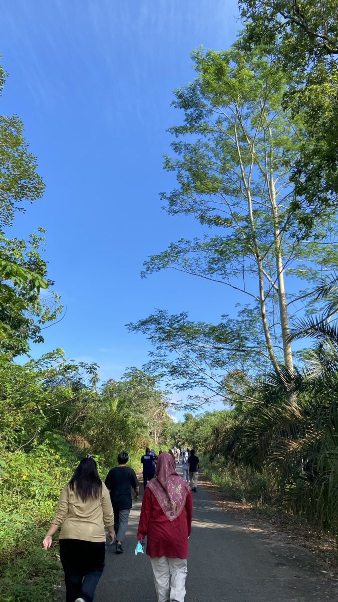 sunfleurst's tweet image. Iship with nature🍃🌤️