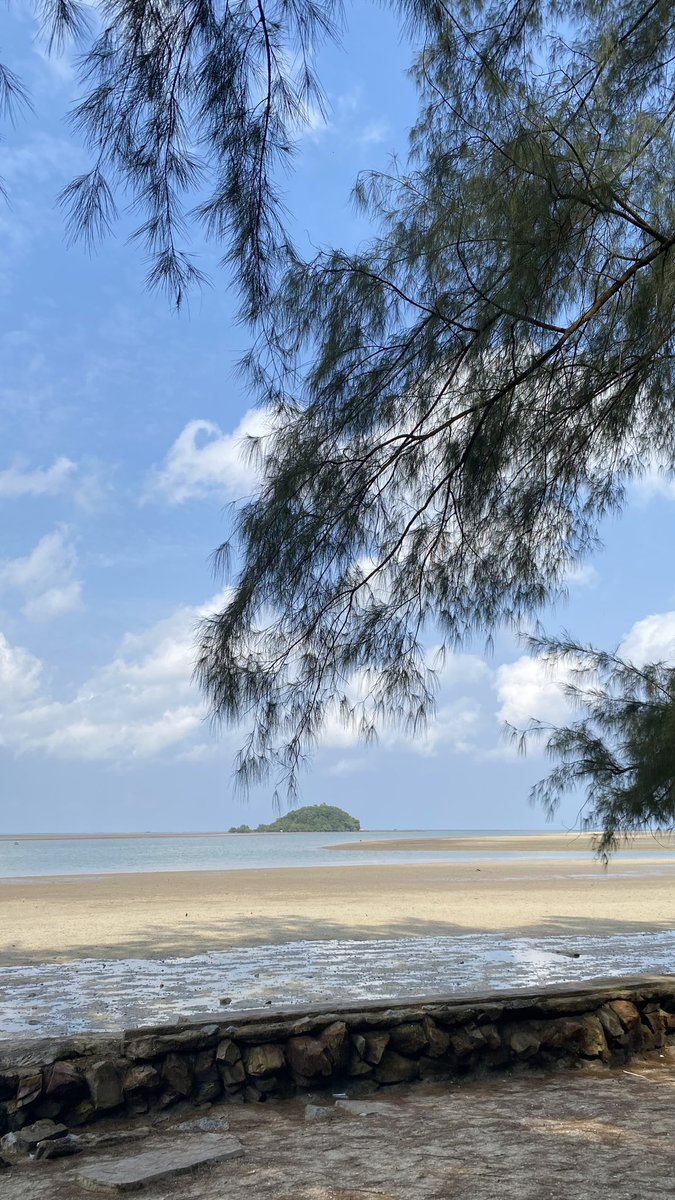 sunfleurst's tweet image. Iship with nature🍃🌤️