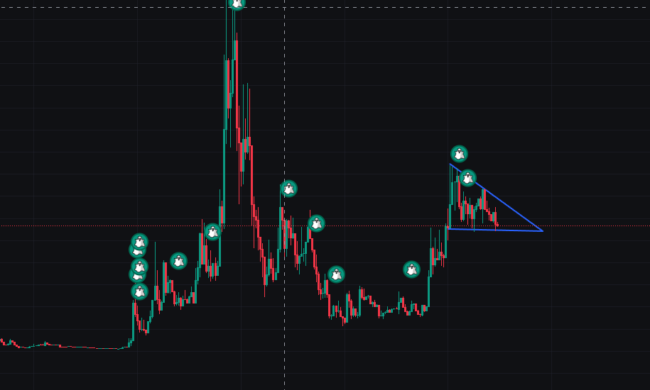 YOU SEE WHAT I SEE????