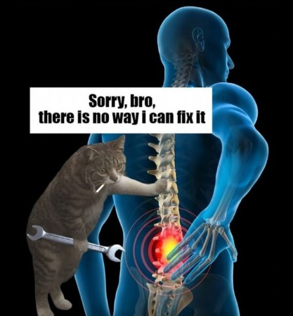 Shitpost 2077 (@shitpost_2077) on Twitter photo 