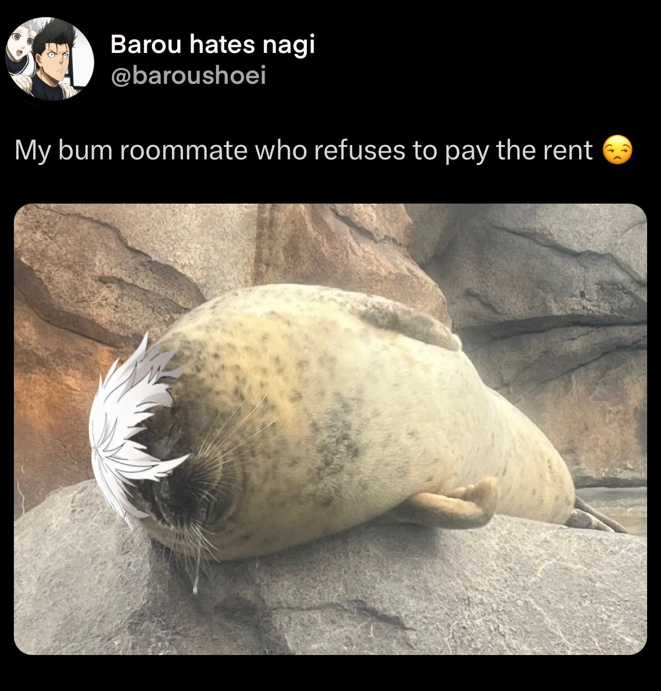 アニメ Nekobserver Lampcat mqdefault.jpg