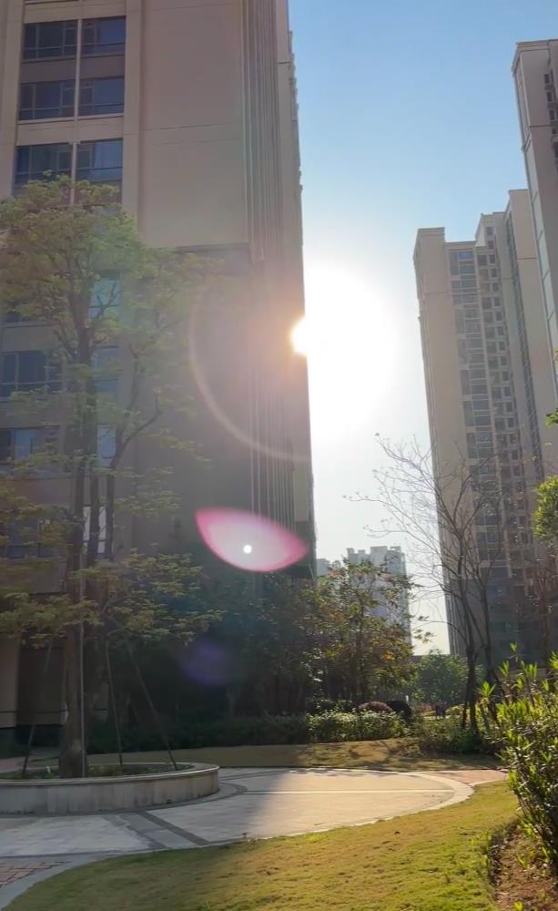 记录一下这明媚的阳光☀️
#阳光明媚的下午