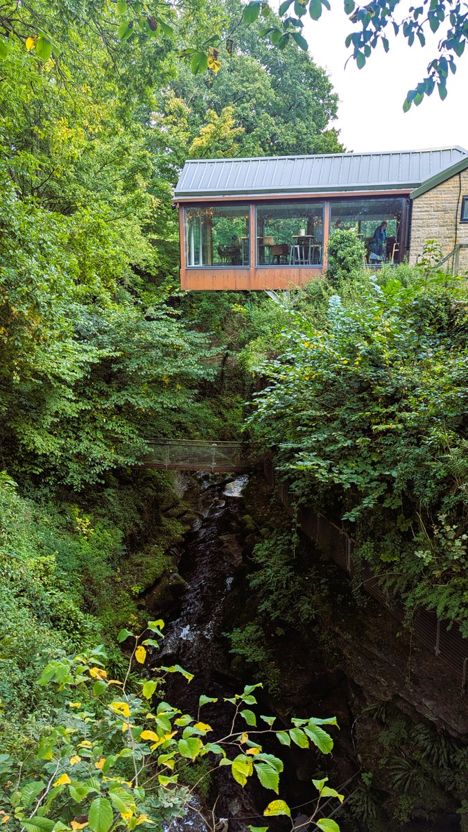 The cafe in the air, How Stean Gorge, Nidderdale